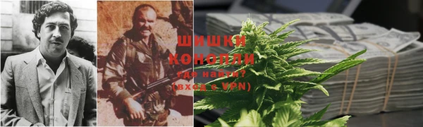 прущие крисы Беломорск