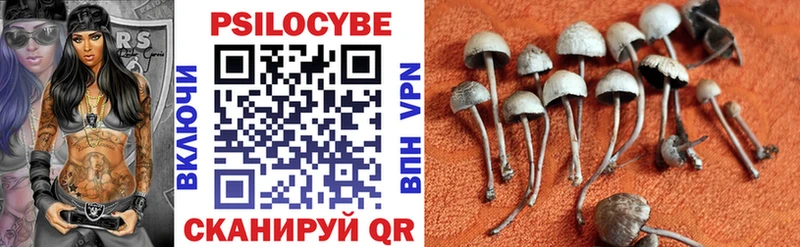 Псилоцибиновые грибы GOLDEN TEACHER Купить где Саяногорск